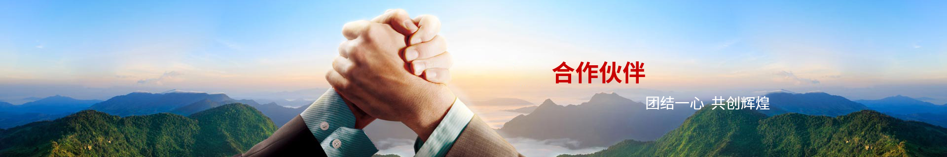 合(he)作夥伴